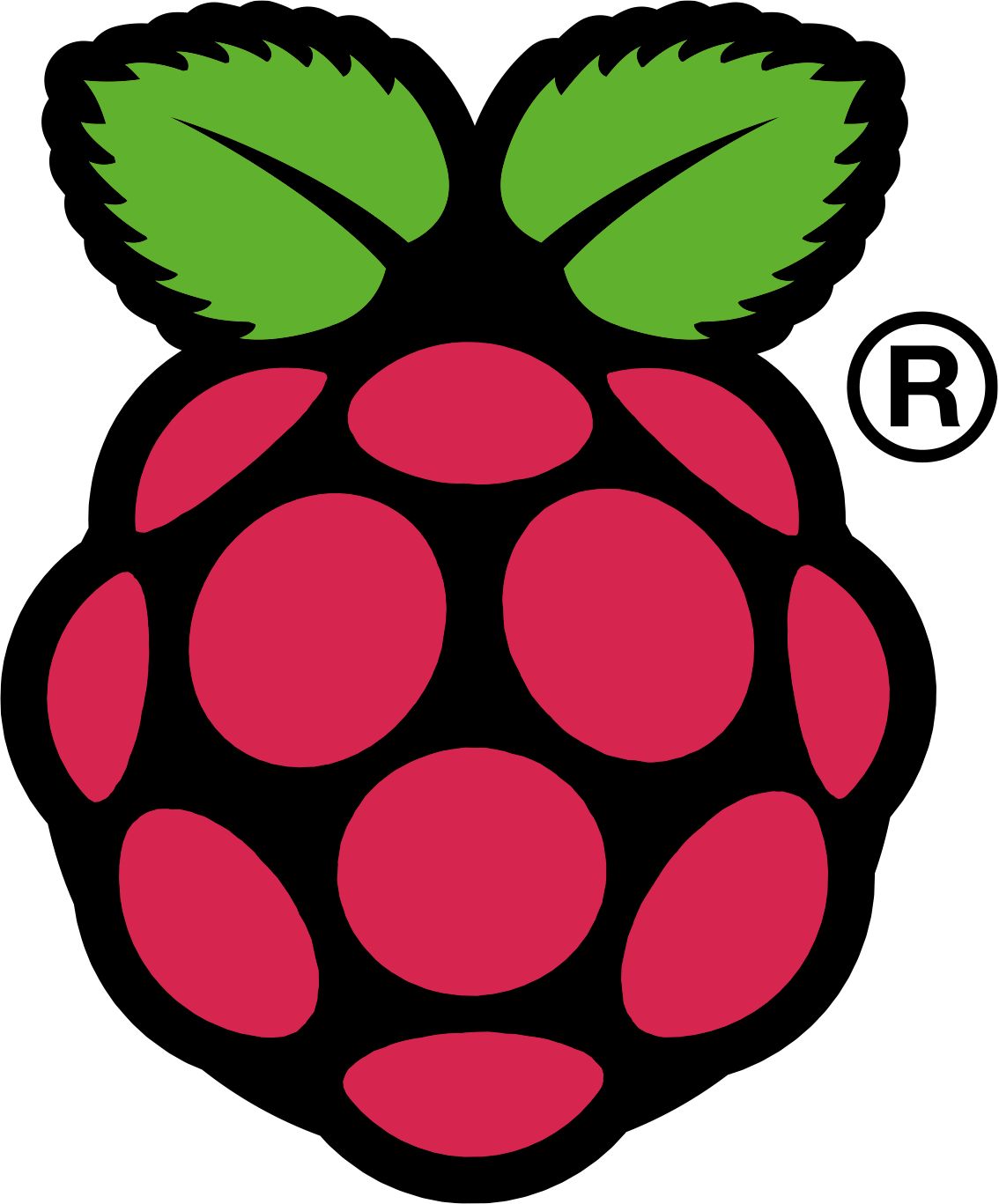Raspi_Colour_R.png