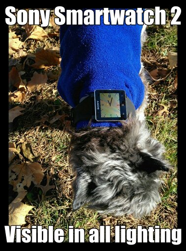 SW2252BVisible252BIn252BAll252BLighting2