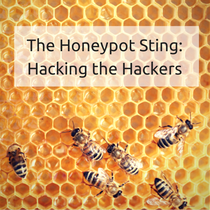 The252BHoneypot252BSting-252BHacking252B