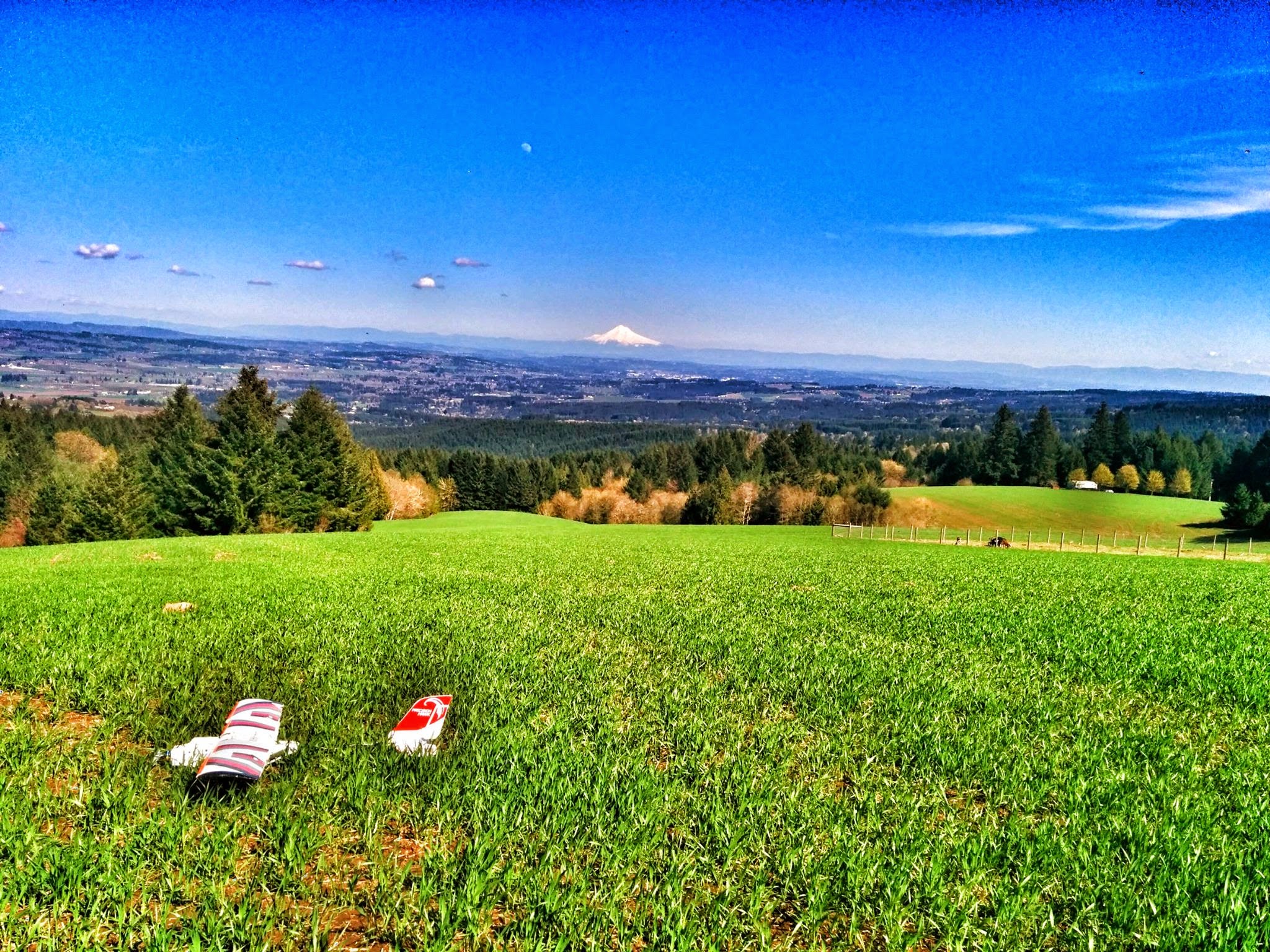 10295506_711127882272622_474154488653440