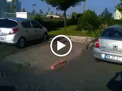 10476559_658122377590803_224879641_n.mp4