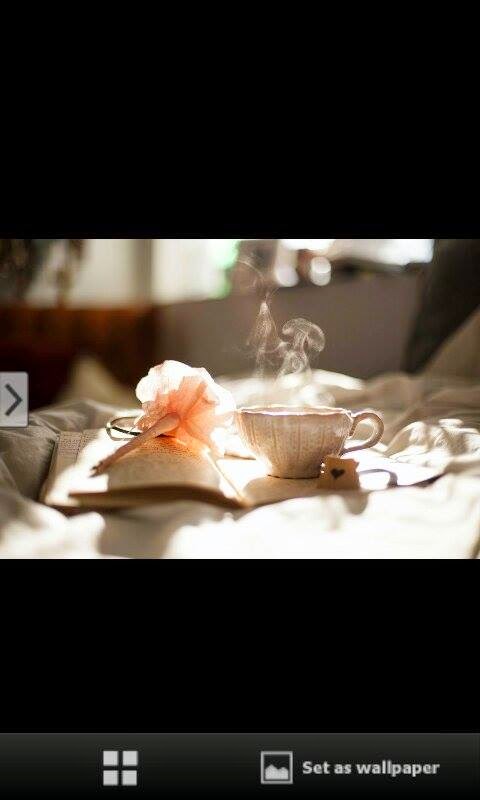 10682039_304723323044166_1402085083_n.jp