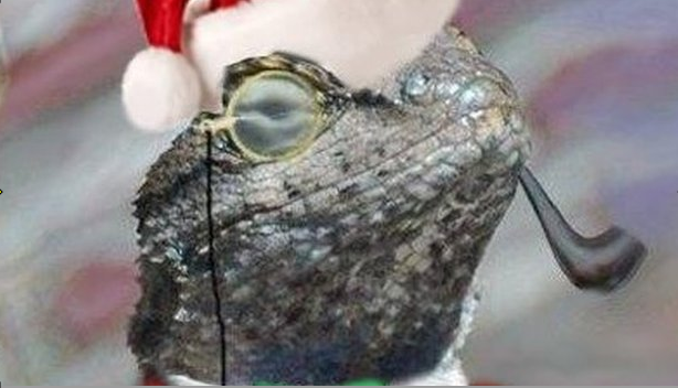 3065-eee3b19673ce4afd491063b14b8763eb.pn