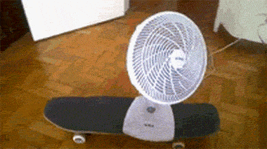 gif-fan-skateboard-1843278.gif