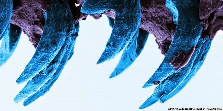 3065-e32593c82f8ce393681980e89d3a32fd.jp