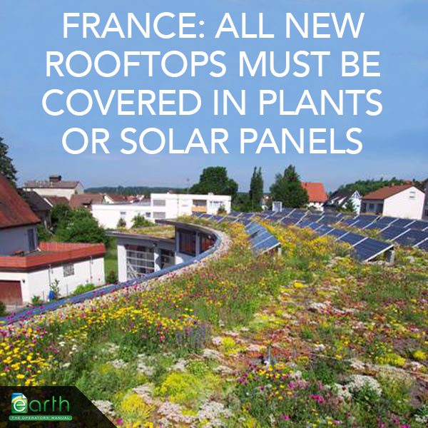 FrenchRooftopSolar-1.png