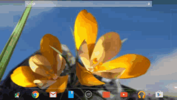 NatureLive-SpringFlowers2.gif