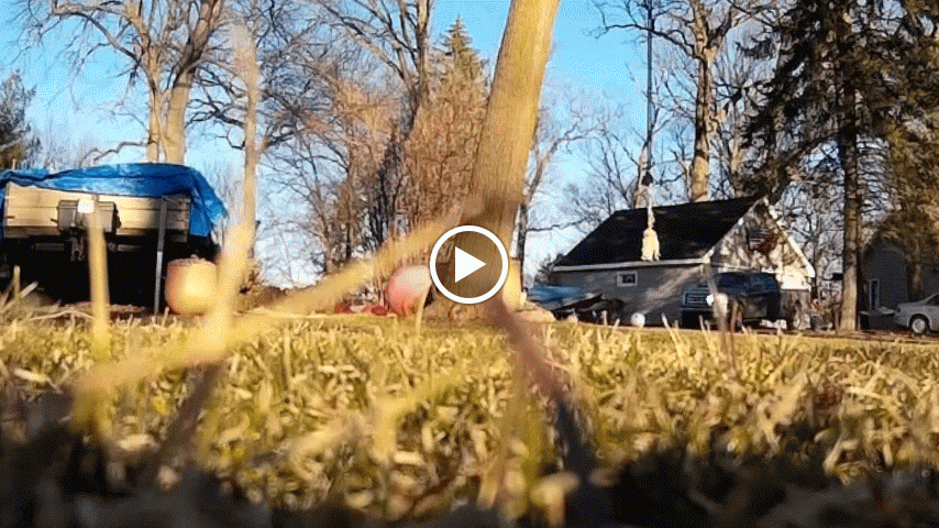 Test252BFlight252Bof252Bthe252BAlien252B