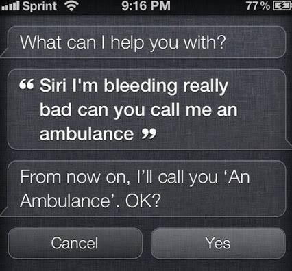 4553096a-7691-46b7-a875-5e1d5257c1b1.jpe