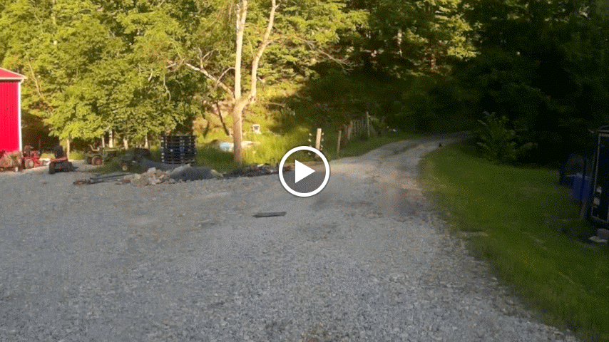 Four252BDays252Bin252Bthe252BWild.mp4-1.