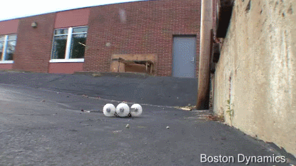 boston252Bdynamics.gif