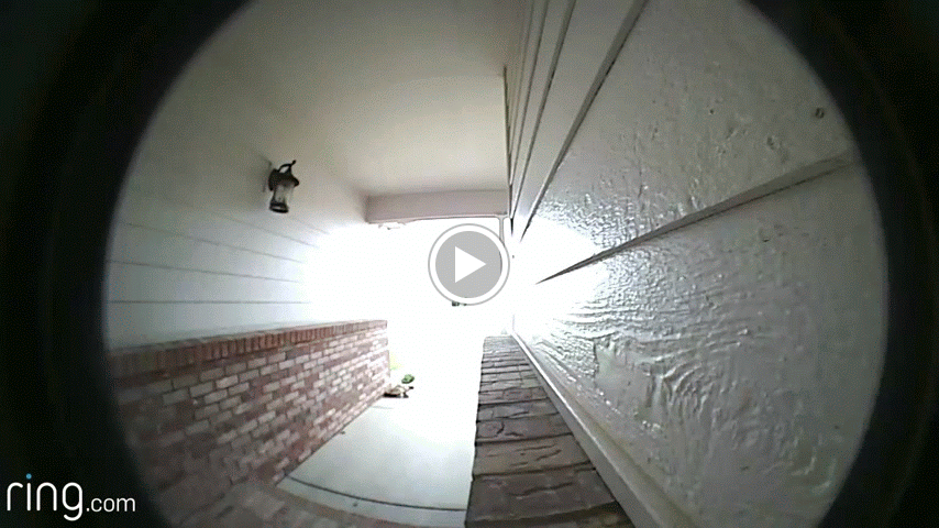 20160517151837Ring252B25252B252BShades25