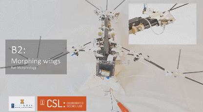 B2252B-252B3D252BPrinted252BBat252BRobot