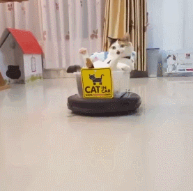 cat252Brobot.gif