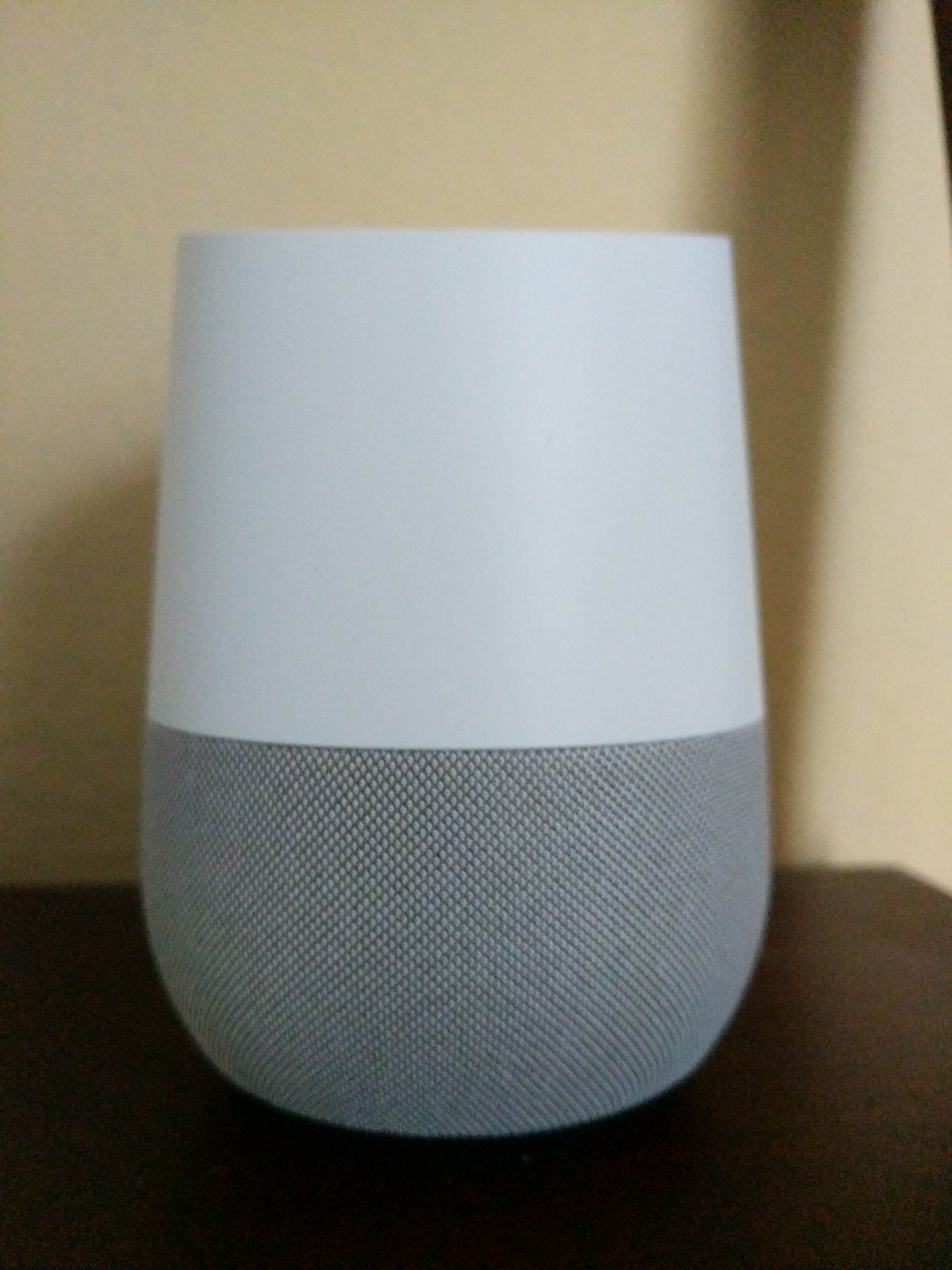 00010IMG_00010_BURST20161116160046_COVER