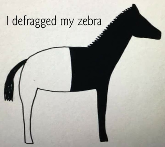 Zebra252BDefrag.jpg